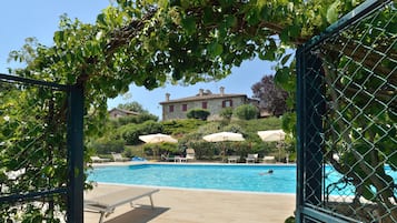 Outdoor pool, sun loungers