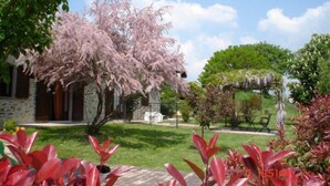 A garden with a variety of trees and shrubs, a stone building, and a clear blue sky. - Fonte al Noce (Gubbio)