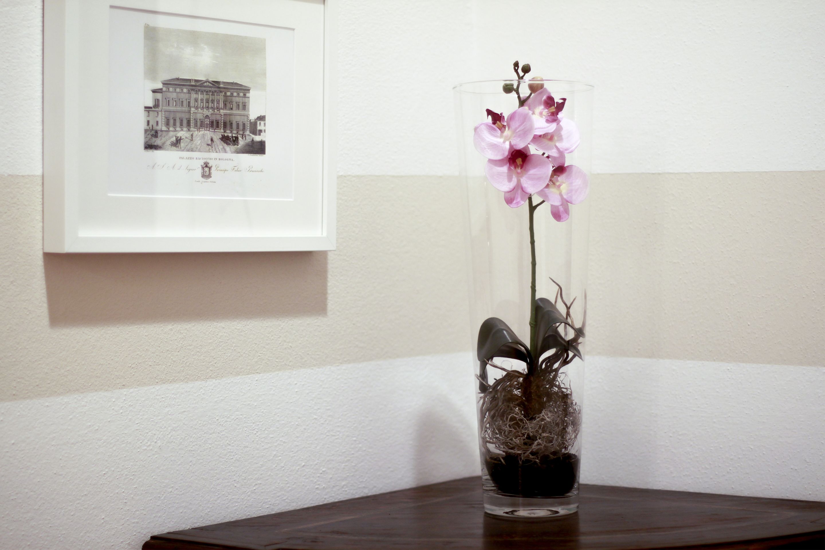 Photo - Casa Isolani Luxury Rooms Piazza Maggiore