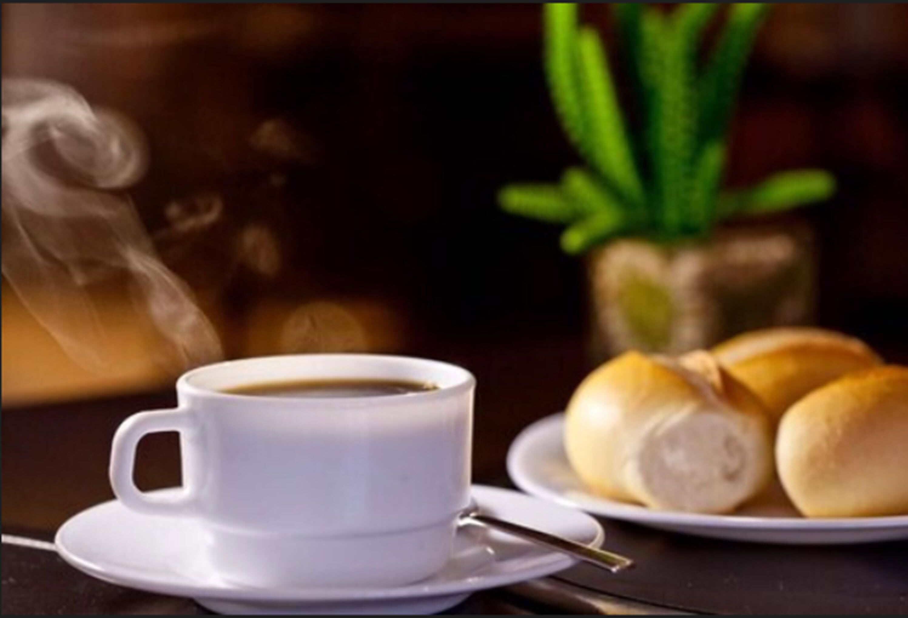 Eine weiße Kaffeetasse auf einem Untertasse, ein Teller mit Brötchen und eine grüne Pflanze im Hintergrund.