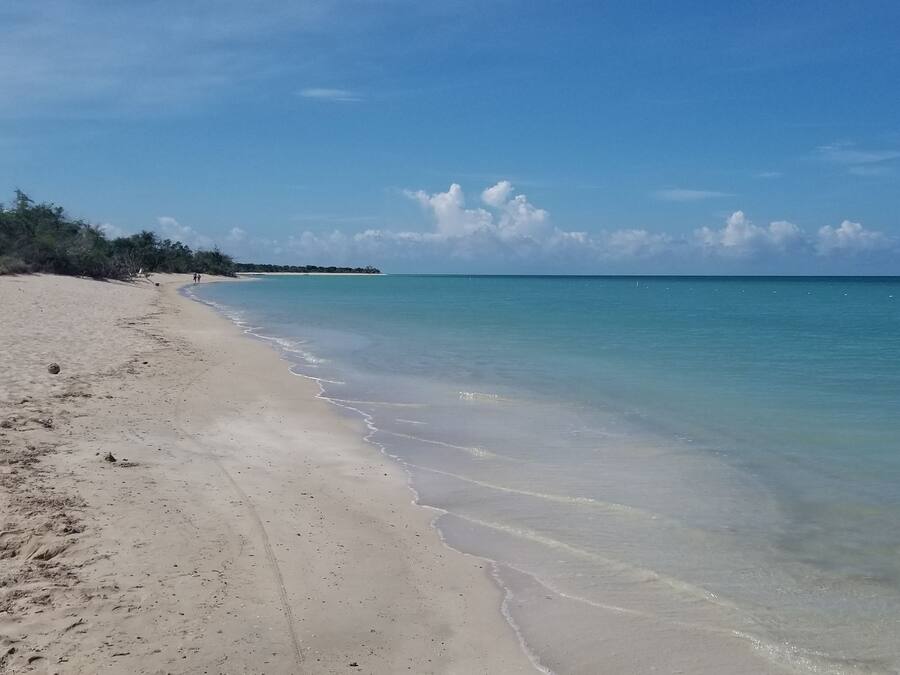 Una playa con agua turquesa cristalina, orilla de arena y vegetación escasa.