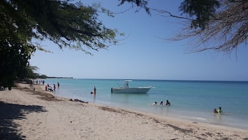 Paseos en barco