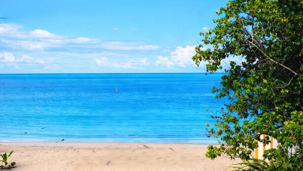 A beach view with clear skies, calm sea, and a tree-lined foreground. - Luichy's Seaside Hotel (Cabo Rojo)