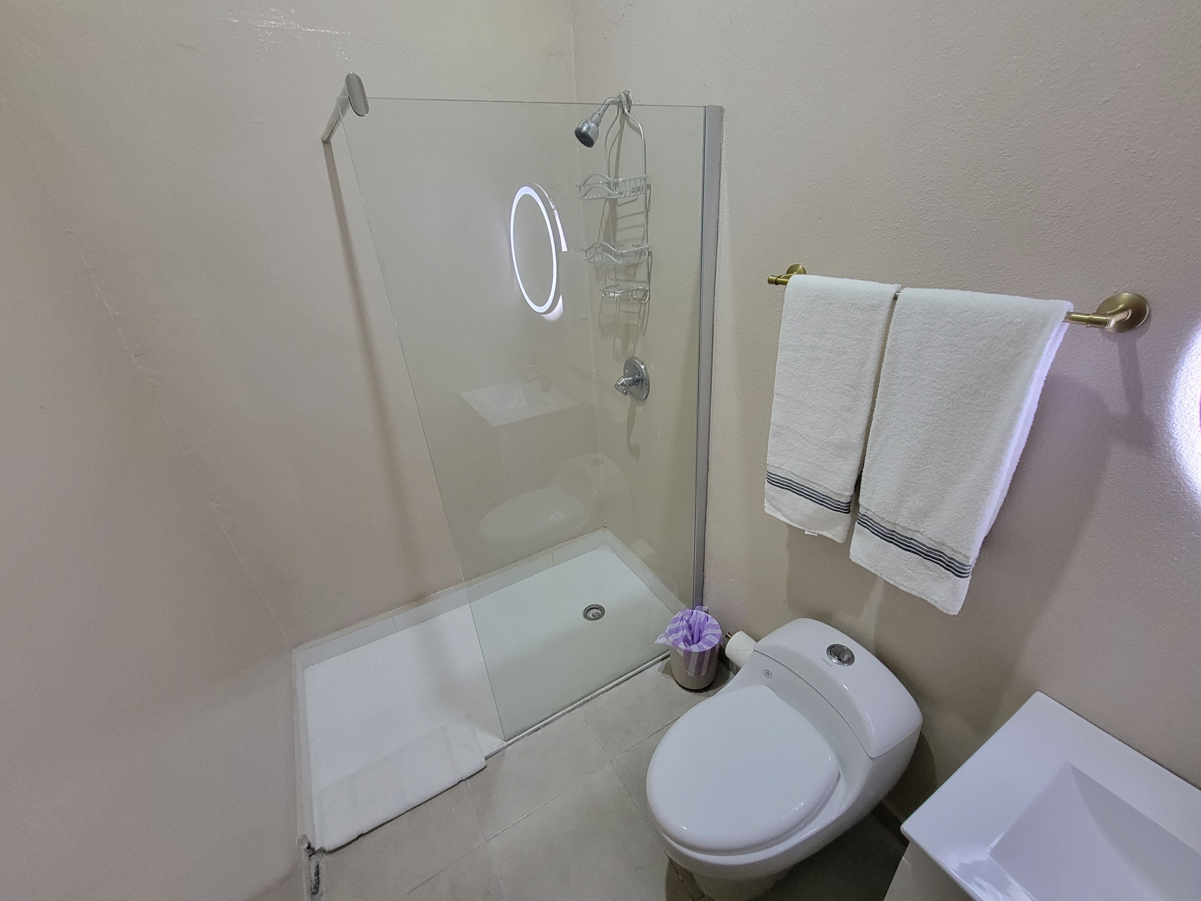 A bathroom with a glass-enclosed shower, a toilet, and a sink.