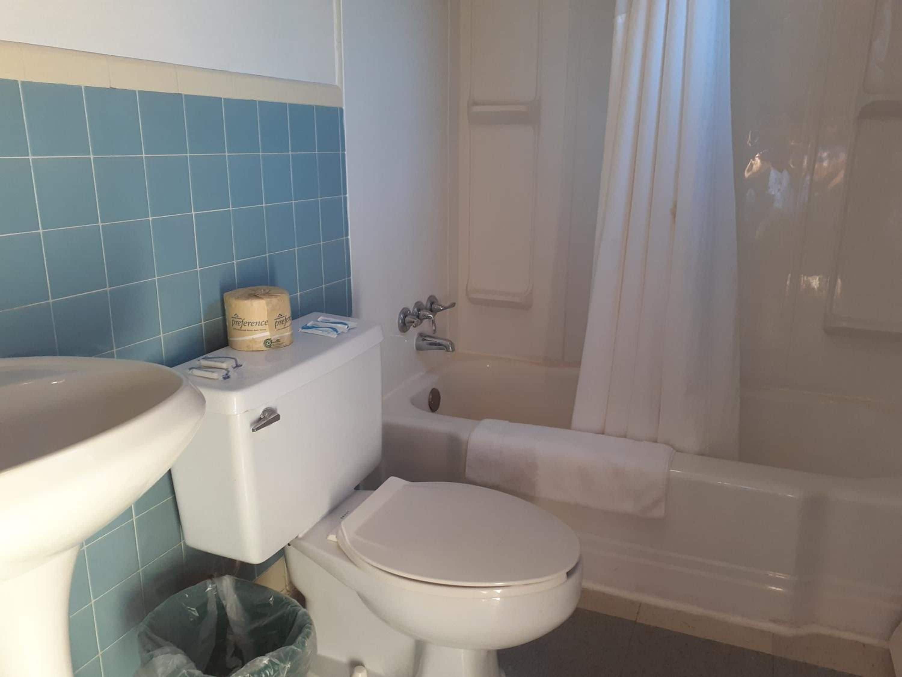 Une salle de bain avec des toilettes, un lavabo et une baignoire.