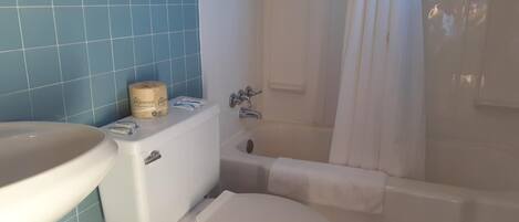 Une salle de bain avec des toilettes, un lavabo et une baignoire.