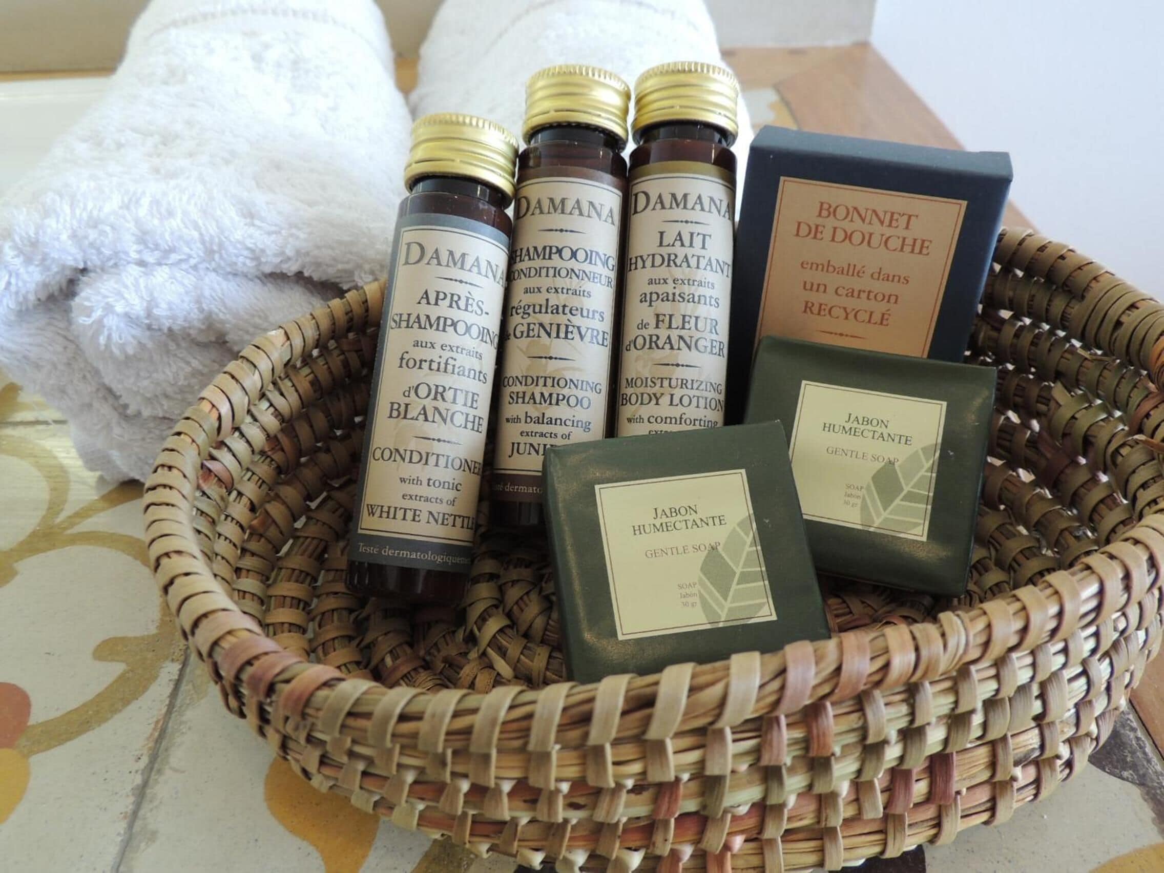 free toiletries, hair dryer, towels