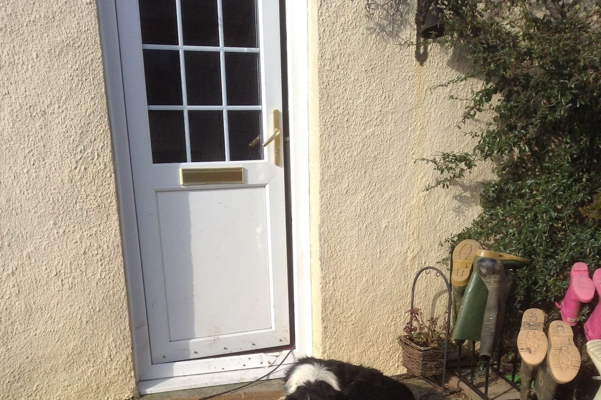 Zwei Hunde liegen auf einer Matte vor einem Haus mit einer weißen Tür und einem kleinen Garten mit Pflanzen und Gartengeräten.