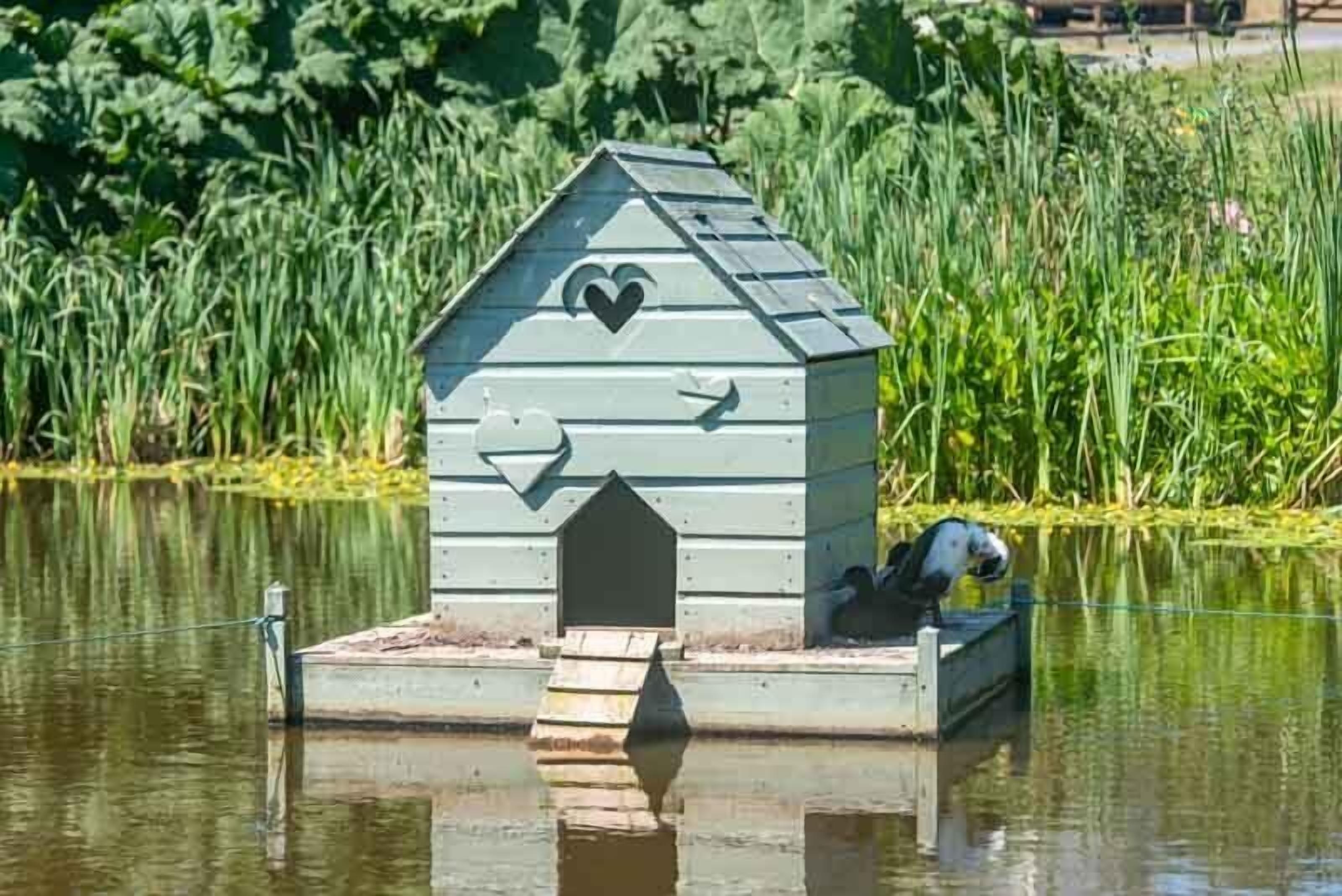 A wooden birdhouse with a heart-shaped cutout and a triangular roof, situated on a small platform in a body of water.