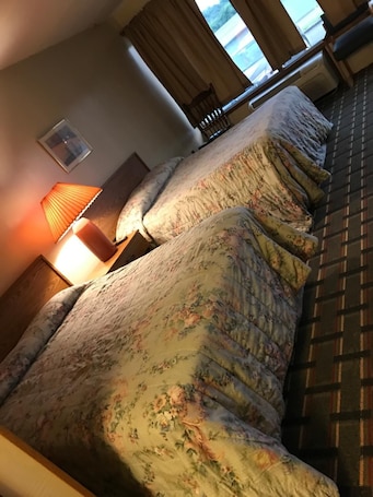 Ropa de cama de alta calidad, escritorio y wifi gratis