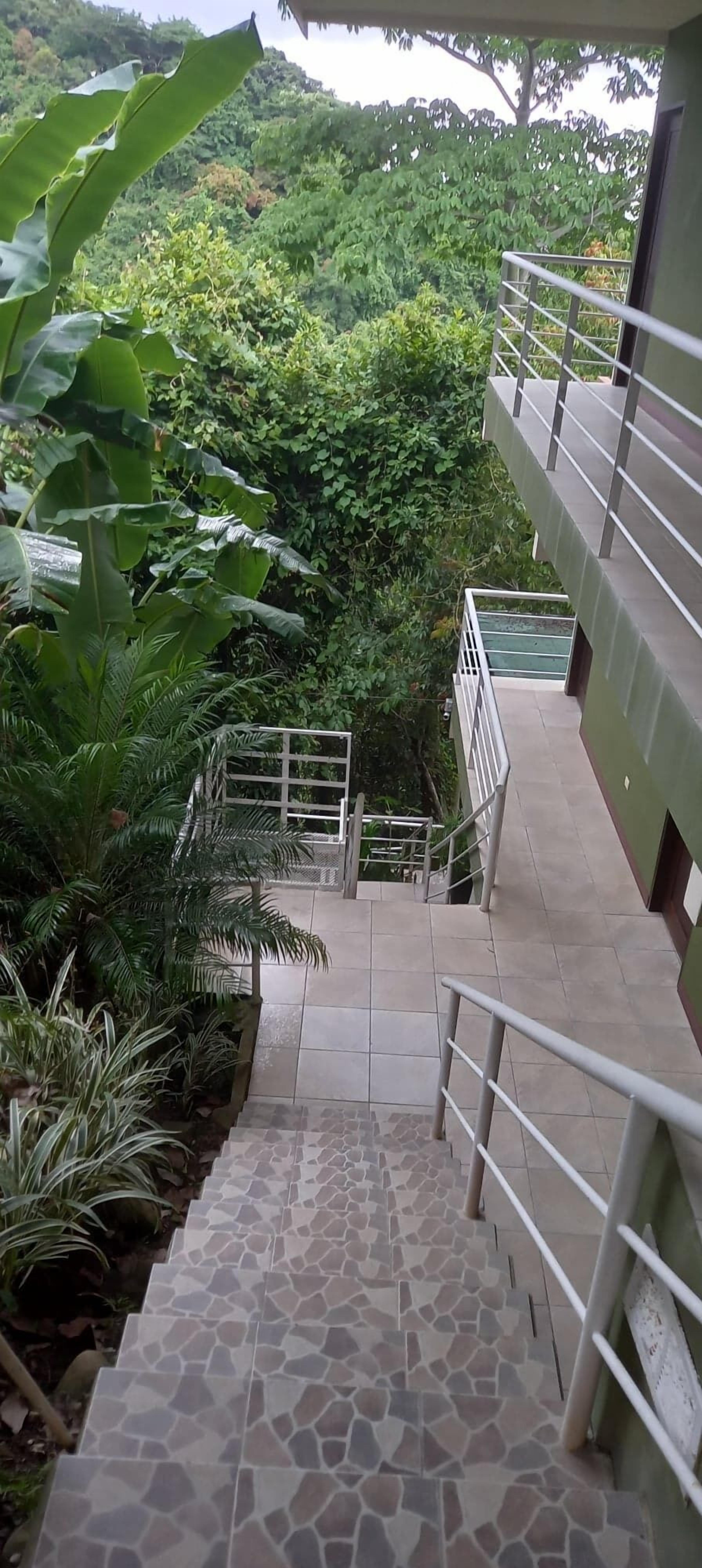 Un escalier avec des rampes en métal mène à un bâtiment surmonté d’un toit végétalisé, le tout étant entouré d’une végétation luxuriante.