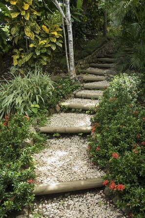 Exterior - Sunshine Sanctuary (Cóbano)