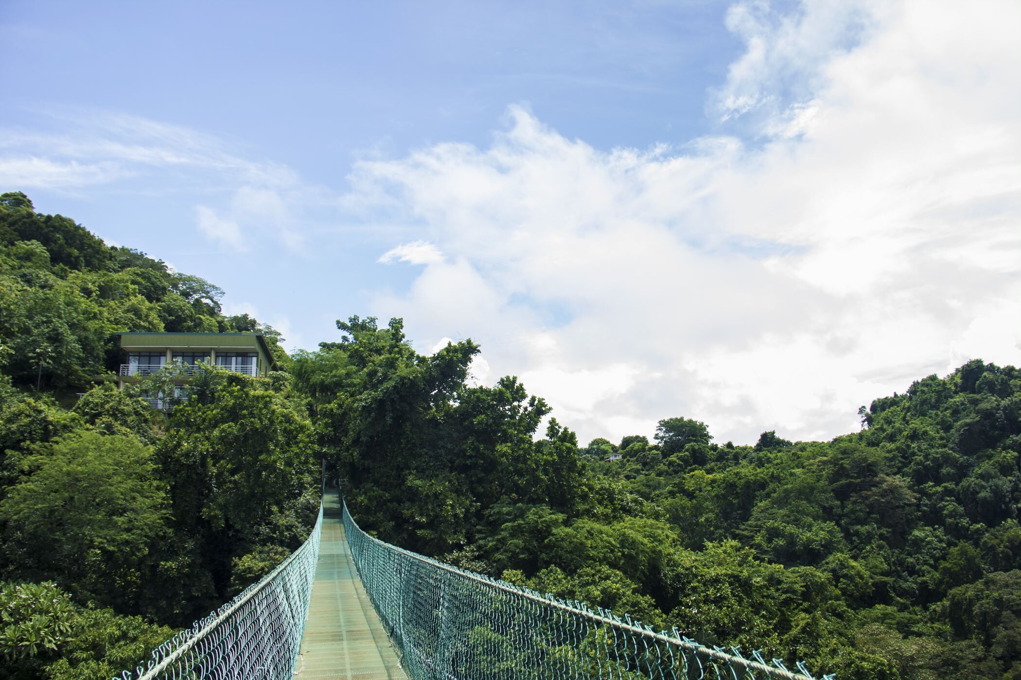 A suspension bridge surrounded by dense forest, leading to a building with a green roof.