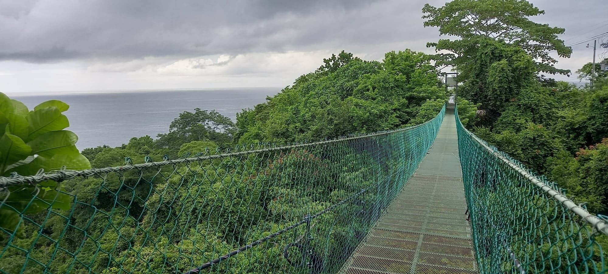 A suspension bridge surrounded by dense greenery and overlooking a body of water.