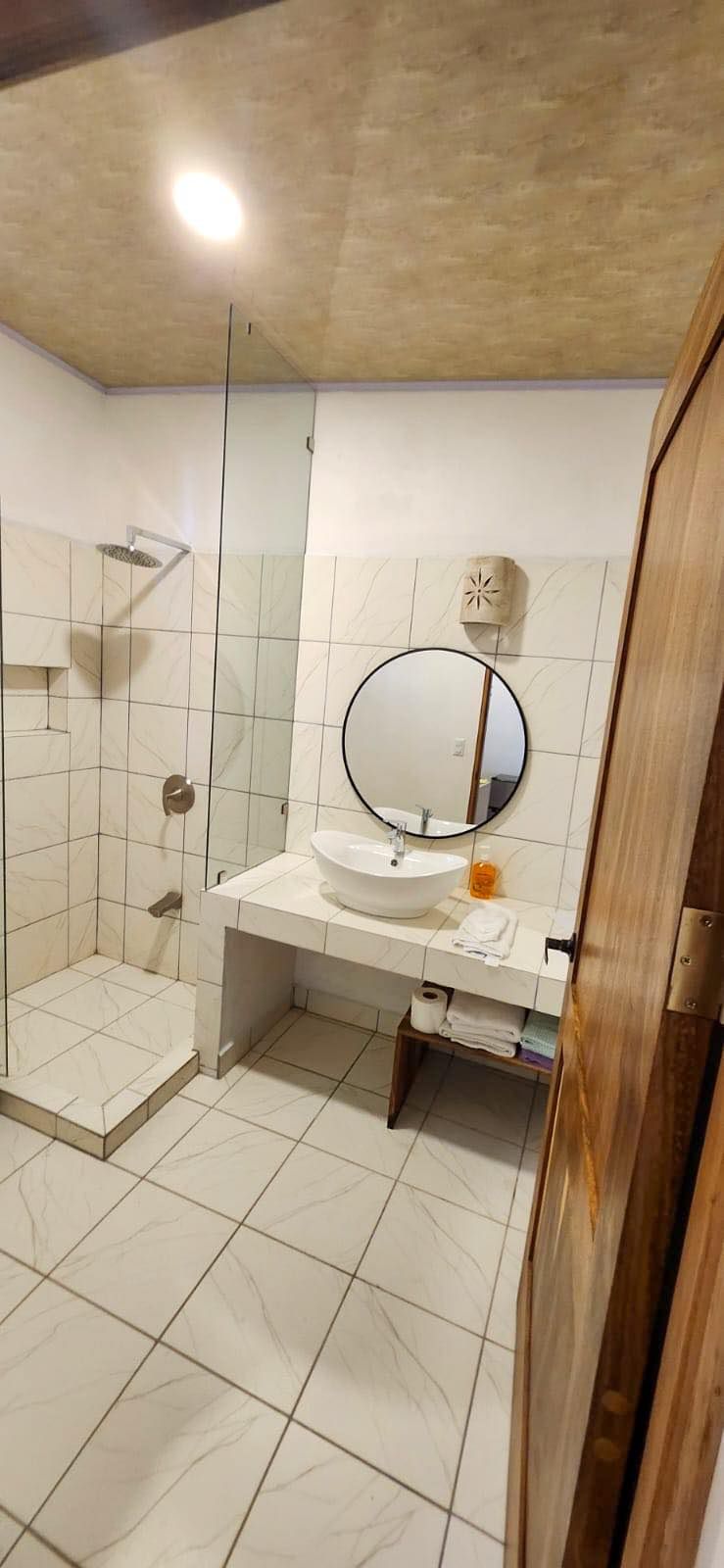 Een badkamer met een douche, wastafel en spiegel.