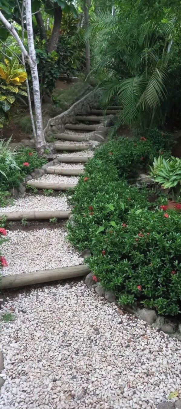 A garden pathway with a gravel surface, surrounded by lush greenery and various plants.