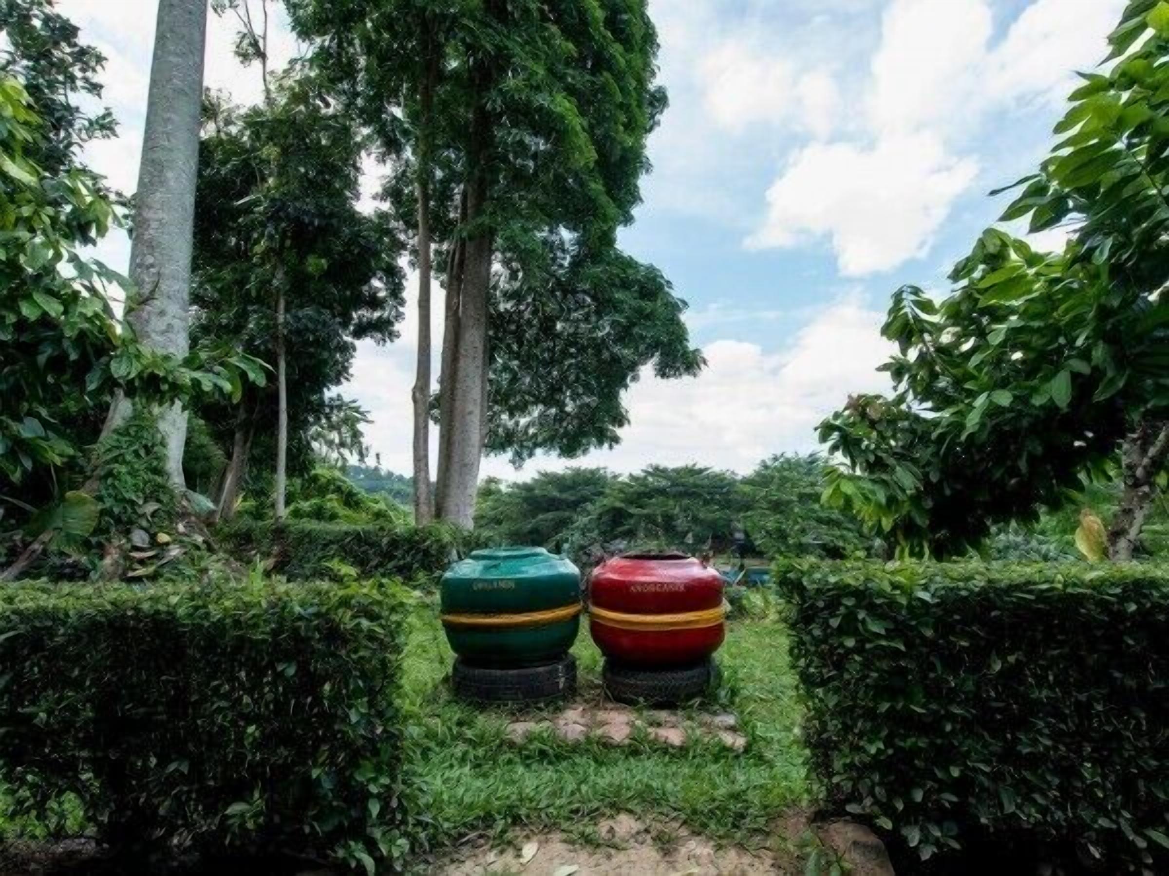 Hage