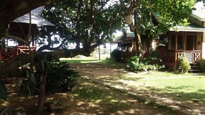 A courtyard with a large tree, a small building with a porch, and a covered area with tables.