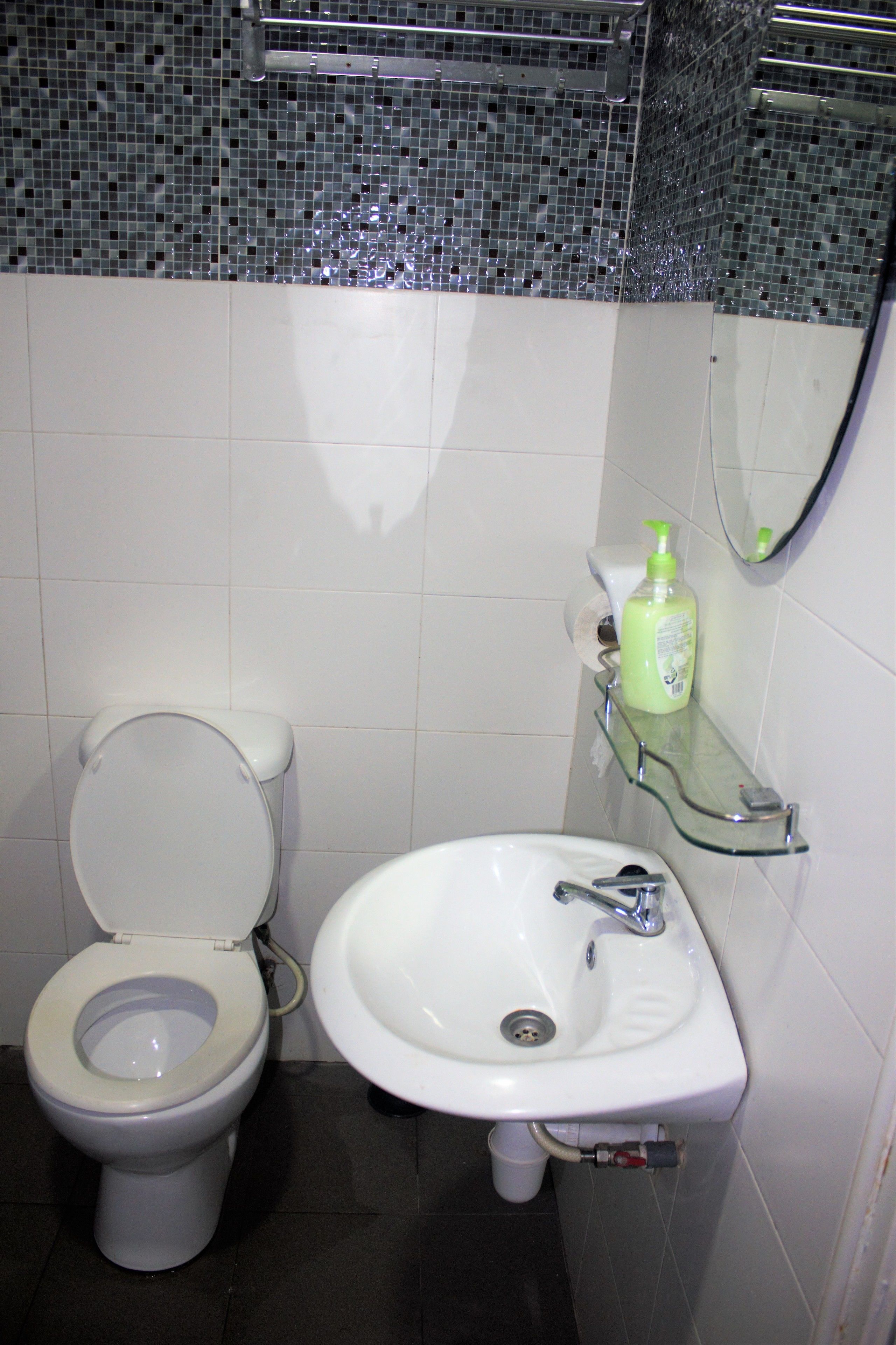 A bathroom with a toilet, a sink, and a mirror.