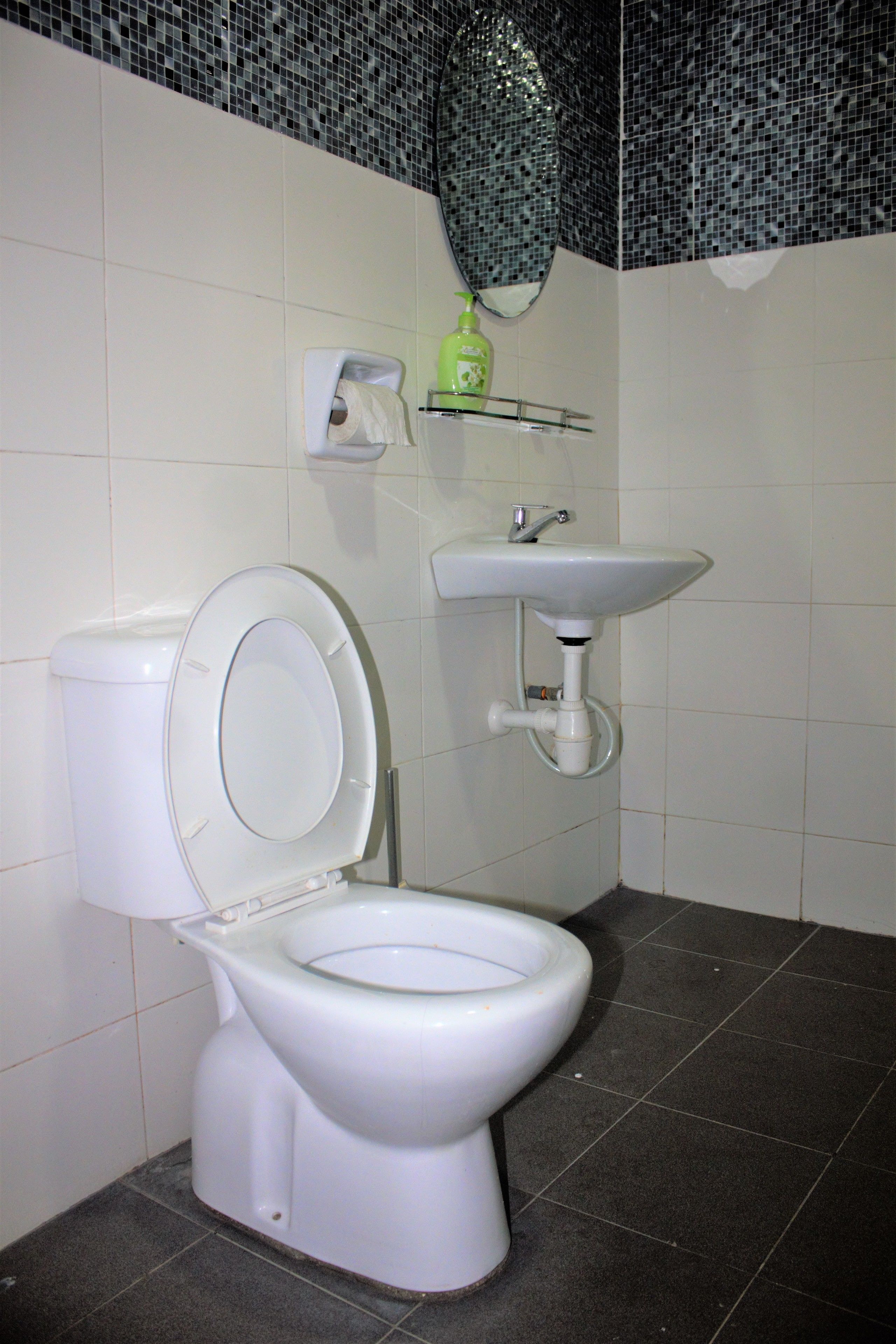 A bathroom with a toilet, a sink, and a mirror.