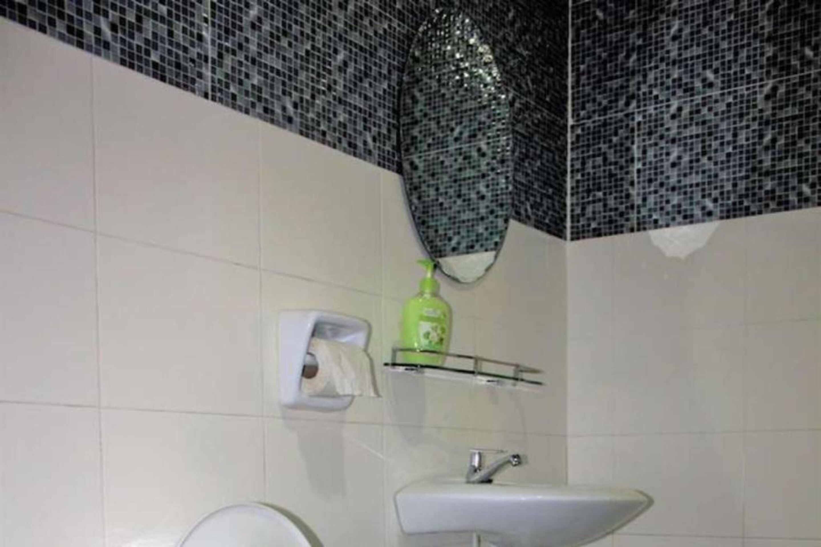 A bathroom with a white sink, a mirror, a green soap dispenser, and a toilet paper holder.