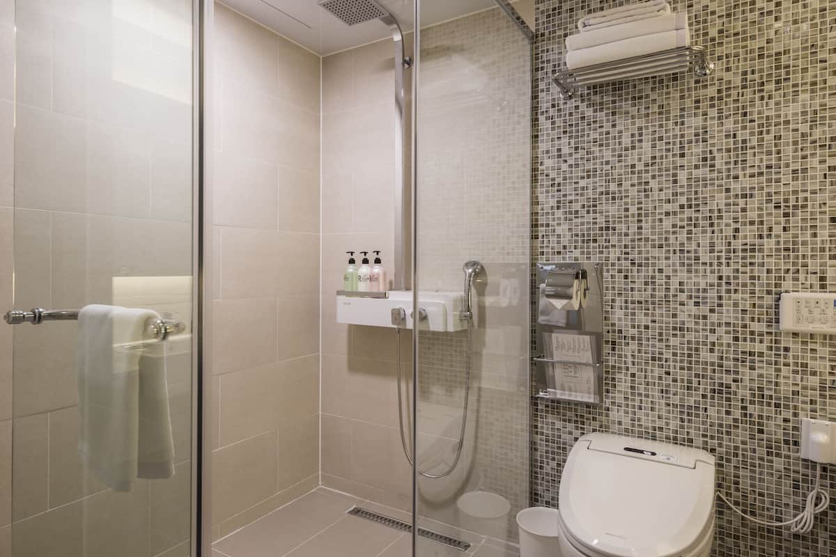 shower, hair dryer, slippers, bidet