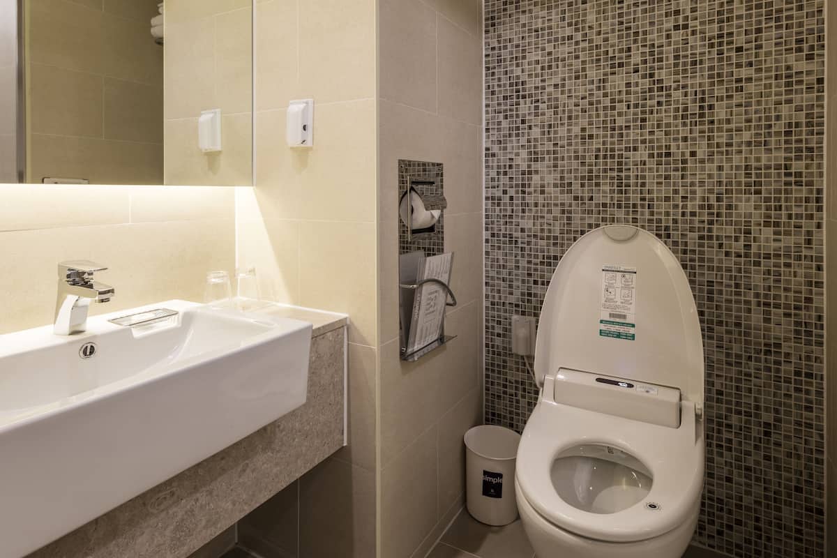 shower, hair dryer, slippers, bidet