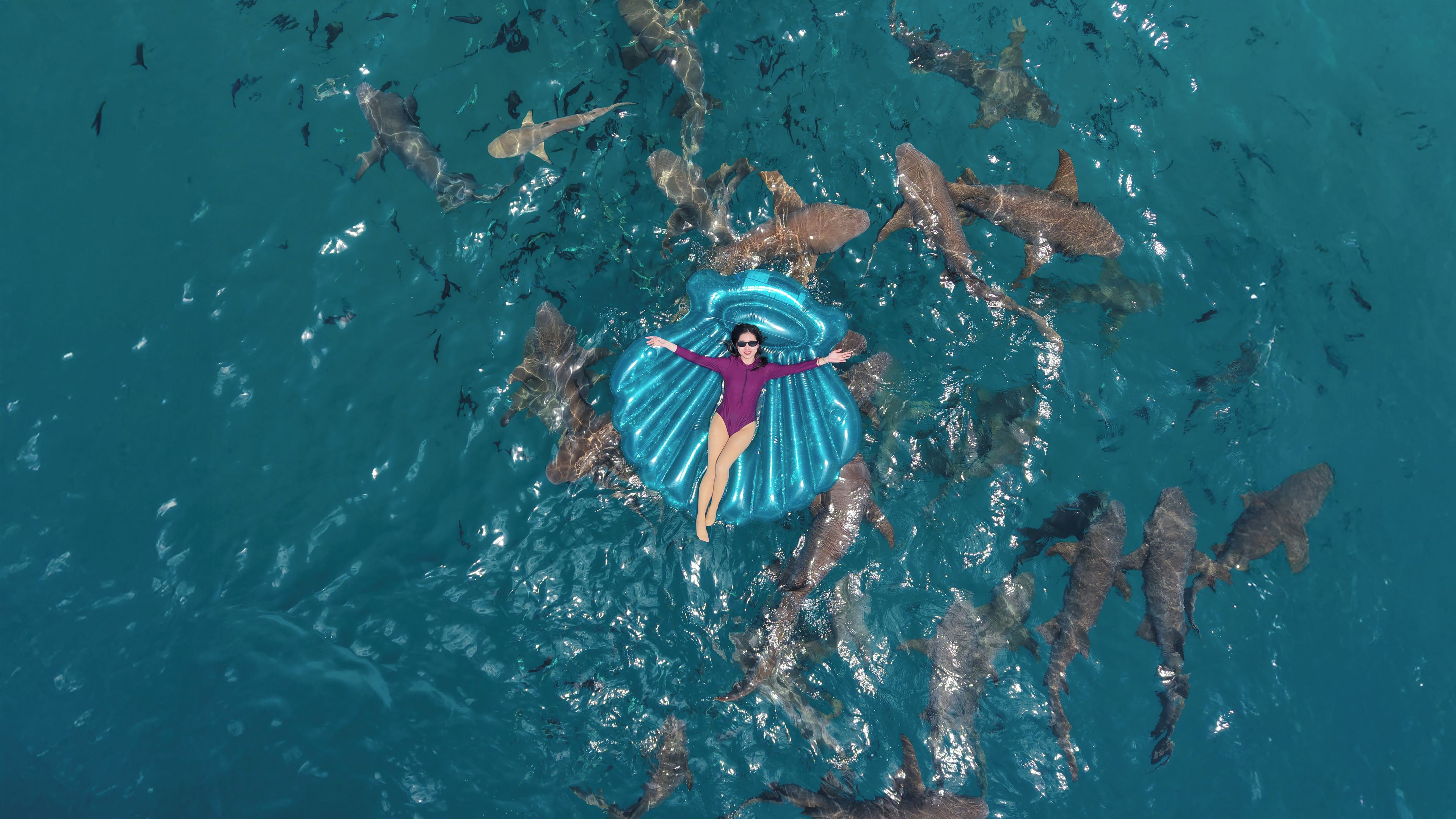 A person floating in water surrounded by sharks.