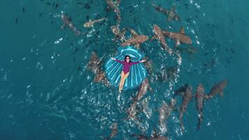 A person floating in water surrounded by sharks.