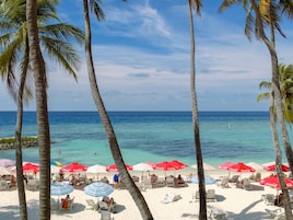 Una playa con palmeras, agua azul cristalina y arena blanca.