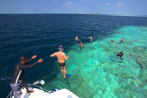 Un grupo de personas practica snorkel en aguas turquesa cristalinas, con un barco y una isla distante a la vista.