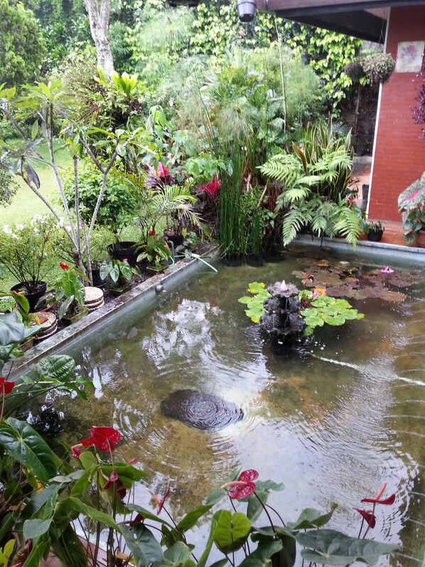 Jardín