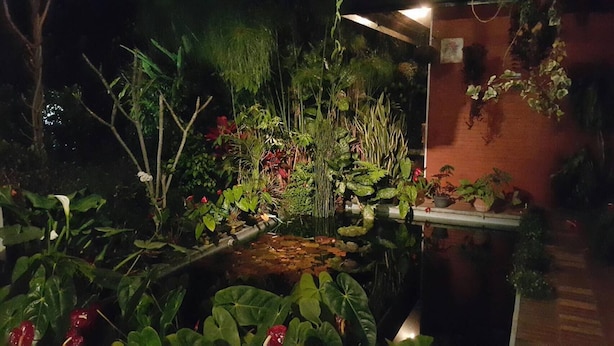 A small indoor garden with a variety of plants and a water feature. - Vila Bunga Merah Gelatik (Lembang)
