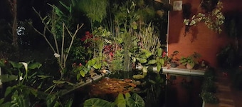 Vila Bunga Merah Gelatik