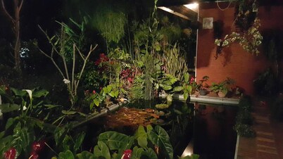 Vila Bunga Merah Gelatik