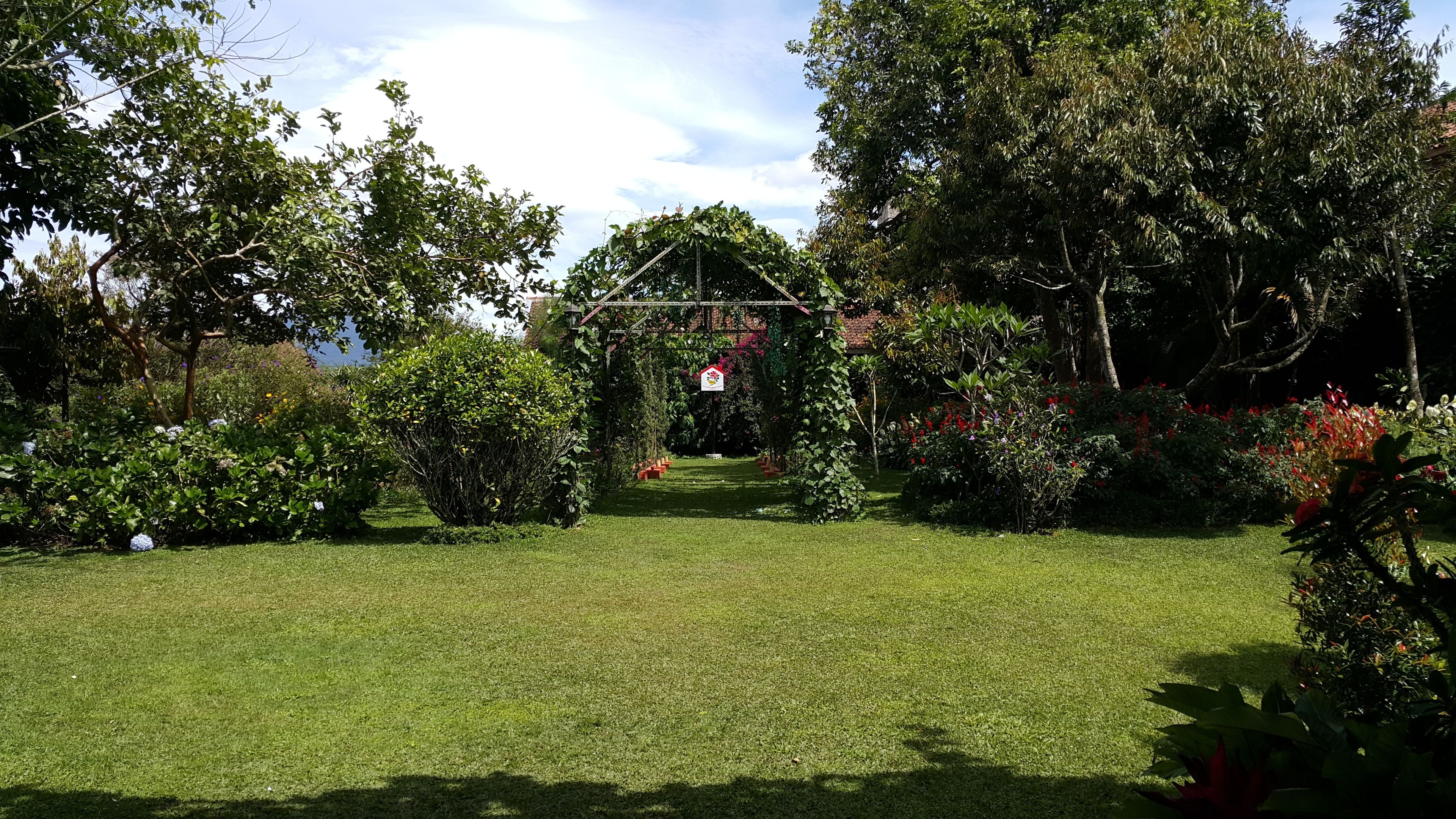 A well-maintained garden with a central archway, surrounded by lush greenery and various plants.