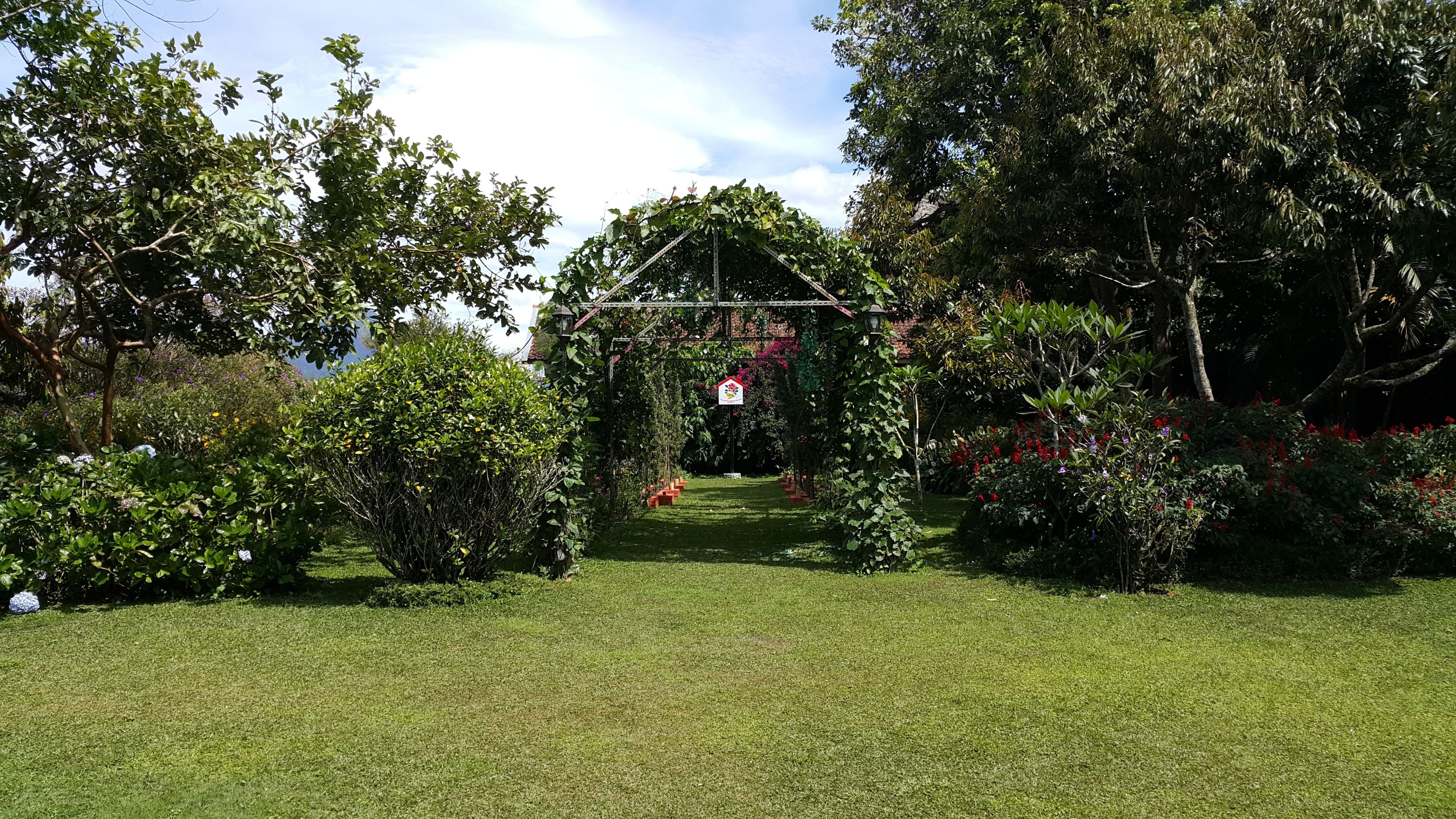 A garden with a gazebo, surrounded by lush greenery and various plants.