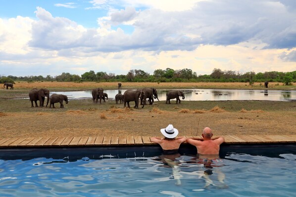 Una piscina al aire libre