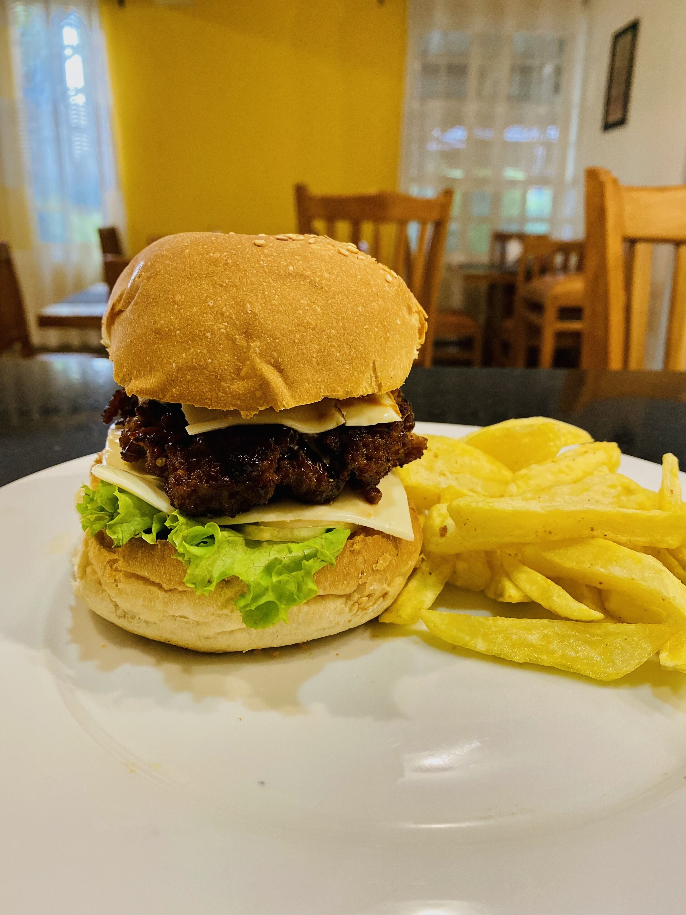 Une assiette avec un hamburger et des frites.