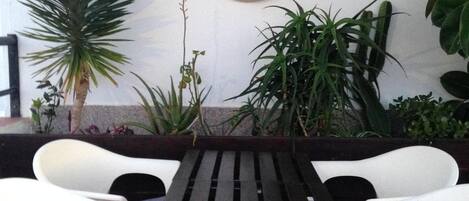 A table and chairs set up outdoors with various plants around.