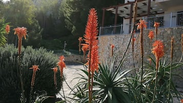 DĂ©tail de lâextĂ©rieur