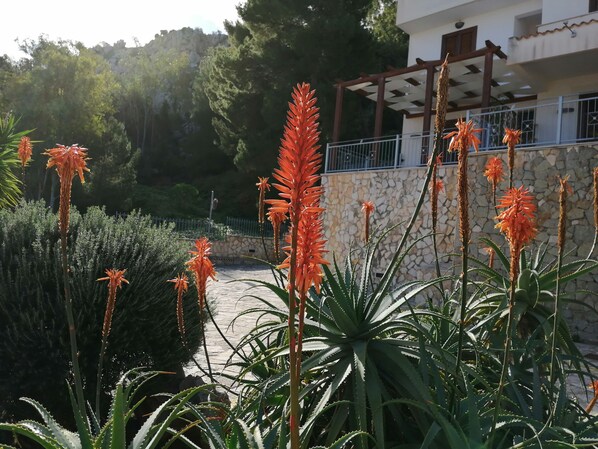 Details aan de buitenkant