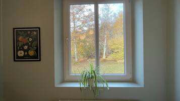A room with a window, a radiator, and a framed botanical print on the wall.