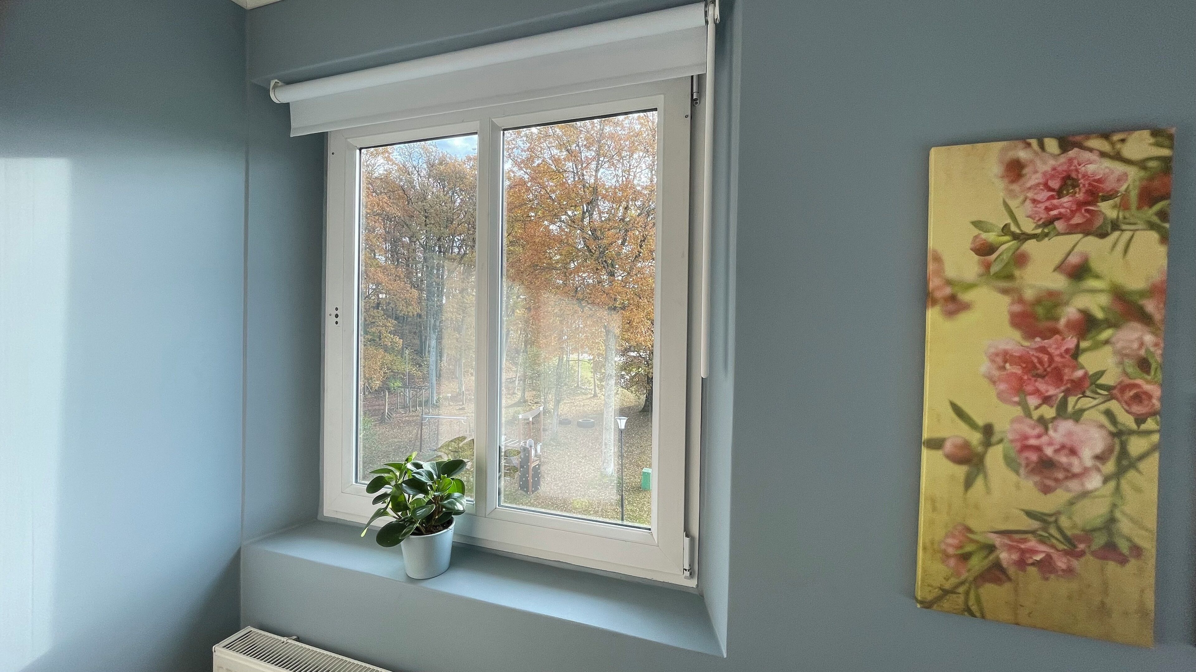 Tweepersoonskamer | Kameruitzicht