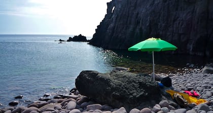 Poecylia Resort