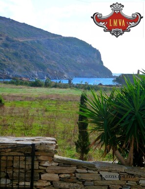 Habitación estándar | Vista desde la habitación