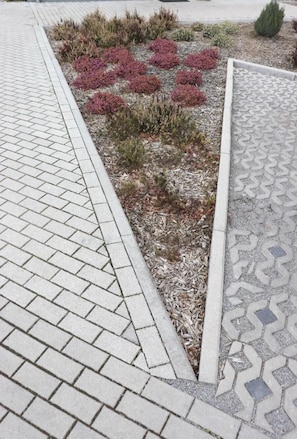 Property grounds - Penny-Pension (Gross Twulpstedt)