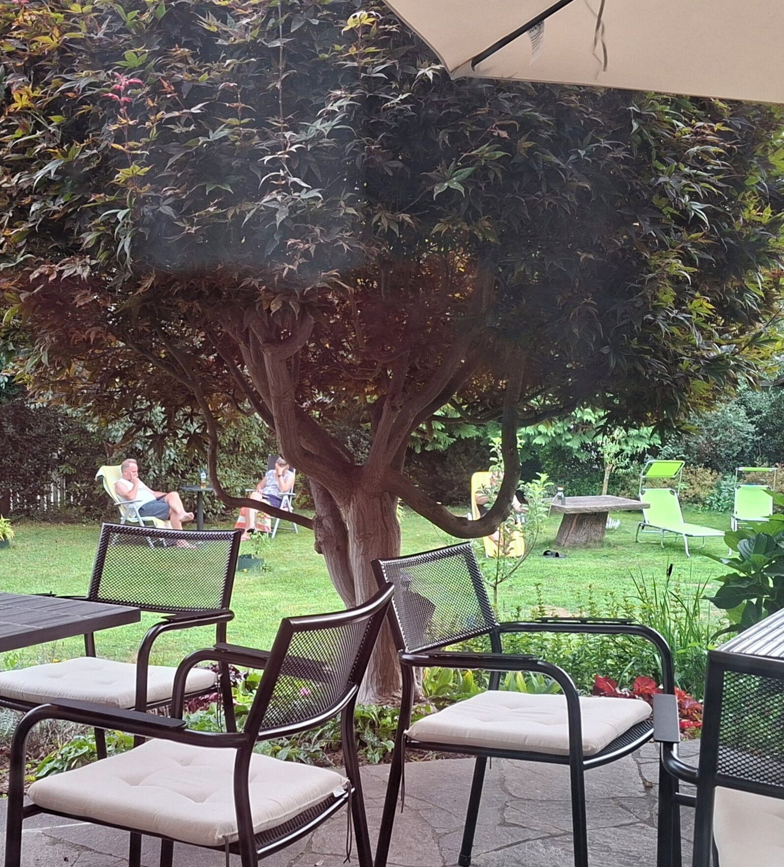 Un área de estar al aire libre con sillas y mesas bajo un árbol grande, rodeada por un jardín.