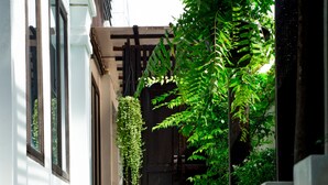 A reflective water feature in a courtyard with a white building and greenery. - Rachamankha Thai Villa (Chiang Mai)