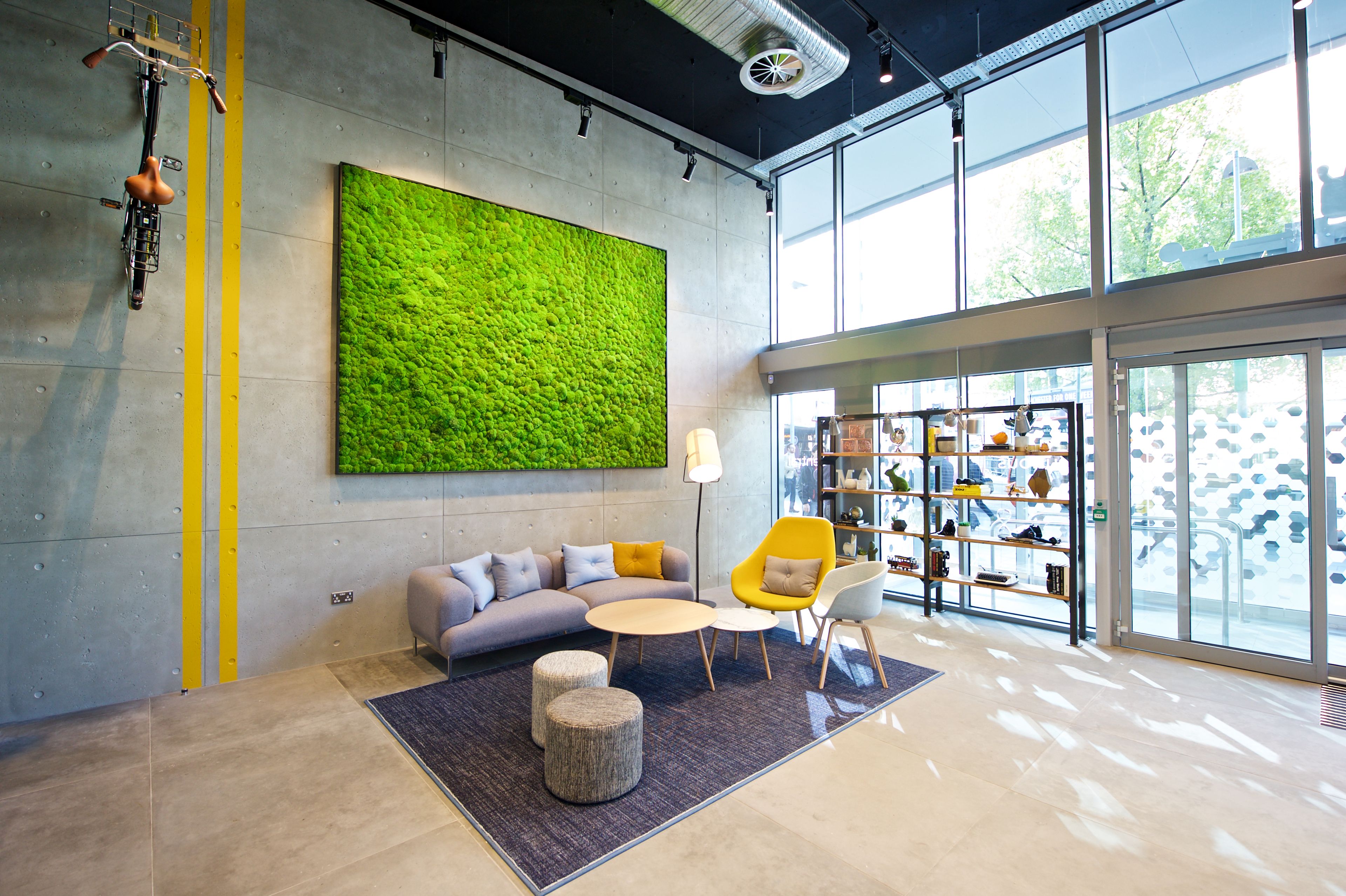 Un interior moderno con una pared verde, zona de estar y exhibición de zapatos.